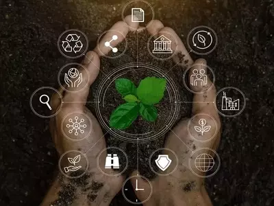 La IA revoluciona la jardinería: del diseño al cuidado de plantas