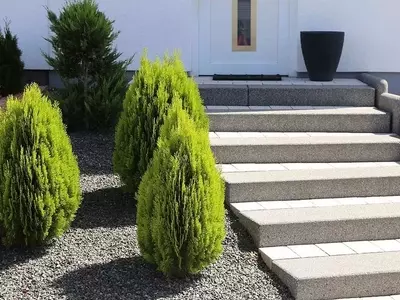 Diseño y Decoración de Escaleras en Jardines con Desnivel: Una Guía Completa