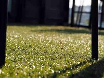 Guía Definitiva para el Mantenimiento Óptimo del Césped Sintético: Terrazas y Jardines Siempre Verdes