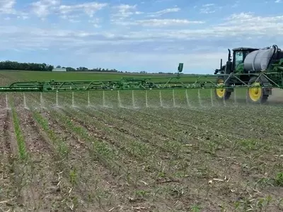 Nematodos Entomopatógenos: Innovación en Protección de Cultivos