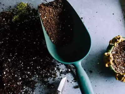 Explorando los Diversos Tipos de Huertos para el Cultivo en Casa y Otros Espacios