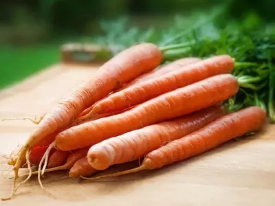 Cultivo de Zanahorias Sin Semillas: Una Guía Detallada