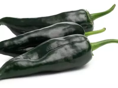 Chile Poblano: El Corazón Culinario y Nutricional de México
