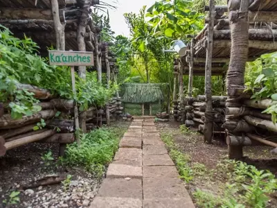 Ka'anche': La Jardinería Ancestral Maya para un Futuro Sostenible