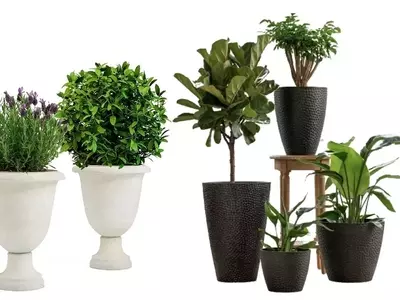 Creación de Macetas de Cemento de Gran Tamaño: Guía Completa para el Jardinero Moderno