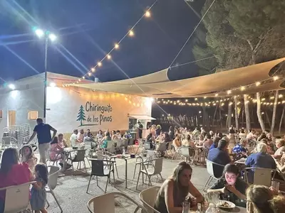 La Preocupante Situación de los Pinares Urbanos: Amenazas y Desafíos