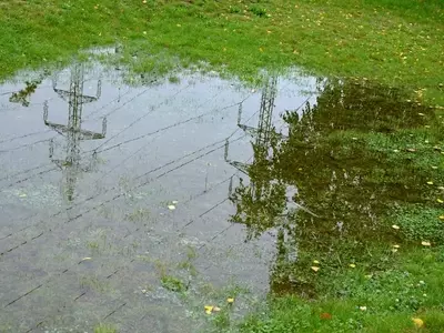 Optimización del Drenaje en Jardines: Claves para un Espacio Verde Saludable y Funcional