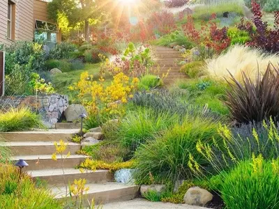 Diseño y Mantenimiento de Jardines Ecológicos: Guía Completa