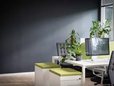 El Poder de la Naturaleza: Plantas que Transforman su Entorno Laboral