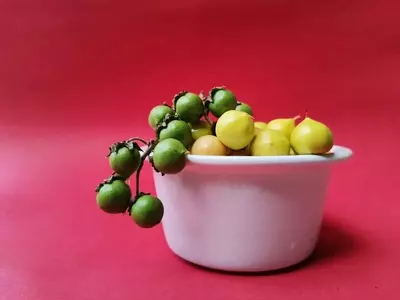 Nance: Un Fruto Tropical Exótico y Versátil