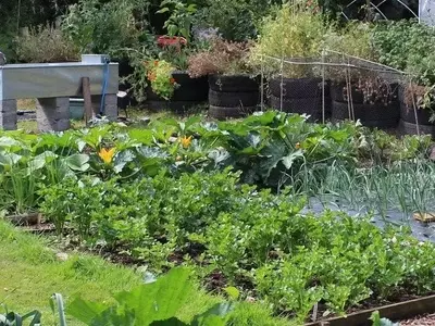 Guía Completa para un Jardín Sostenible: Especies Clave y Prácticas Ecológicas