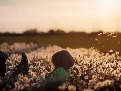 Estrategias para Salvaguardar tus Plantas de los Niños