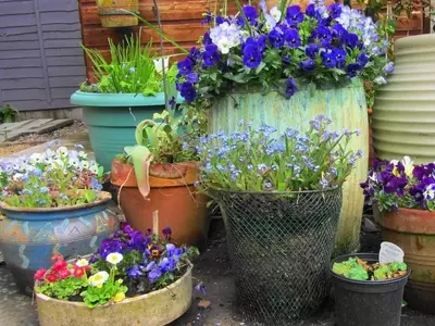 Jardines Creativos: Transformando Objetos Cotidianos en Macetas Únicas