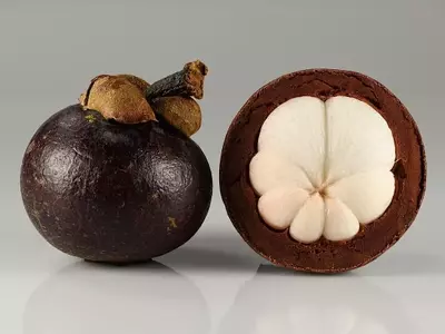 Guía Completa para el Cultivo Exitoso del Mangostán