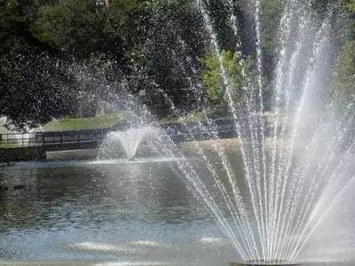 Embellezca Su Jardín: Guía Completa para la Selección e Instalación de Fuentes Decorativas