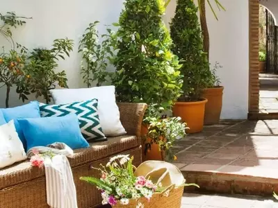 Transforma tu Patio: Ideas Creativas para Decorar con Macetas y Crear un Oasis Personal