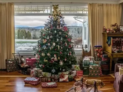 La Verdad Detrás de los Árboles de Navidad Naturales: Un Análisis Sostenible