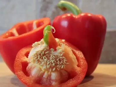 Cultivo y Elaboración de Pimentón: Una Guía Completa
