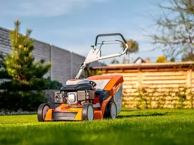 Transformación Verde: Revitalizando Jardines Olvidados con Éxito