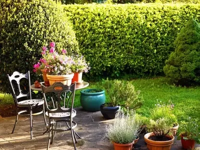 Domina el Arte de la Jardinería: Guía Completa para un Espacio Verde Espléndido