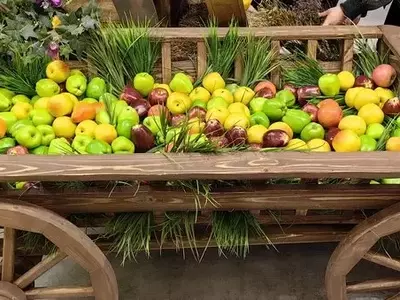Potenciando el Huerto: Recetas de Fertilizantes Naturales para Frutales