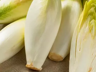 Guía Completa para el Cultivo Doméstico de Endivias: Secretos y Beneficios