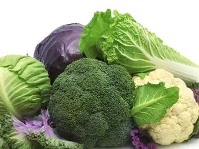 La Berza: Una Verdura Versátil y Nutritiva para tu Huerto y Cocina