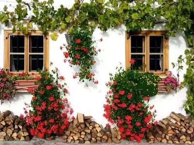 Embellezca Su Hogar: Guía para la Decoración de Fachadas con Elementos Naturales