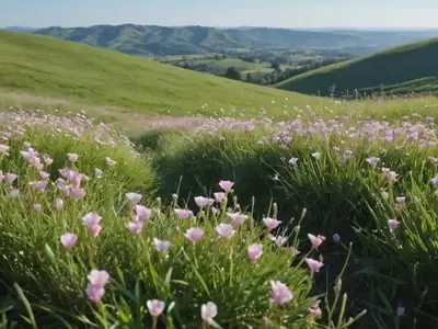 Descubriendo la Gypsophila repens: La Joya Escondida de tu Jardín