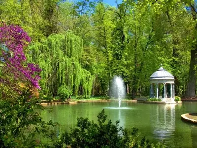 Creando un Oasis Verde: Guía Esencial para un Jardín Sostenible