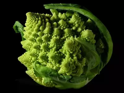 Romanesco: La Fascinante Hortaliza de Geometría Fractal