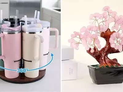Affordable Luxuries: Smart Home Upgrades Trending on Amazon