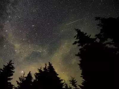 Optimal Meteor Viewing: Prioritizing Lesser-Known Showers Over the Perseids This Year