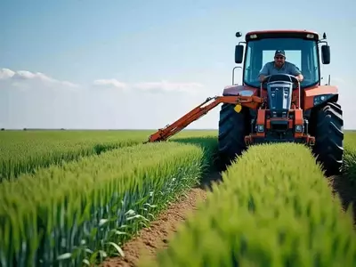 Estrategias Innovadoras para una Fertilización Agrícola Sostenible y Eficiente