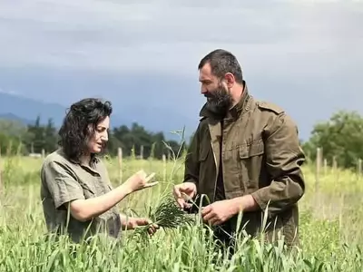 De Georgia al Búnker Ártico: Un Viaje para Preservar la Herencia del Trigo