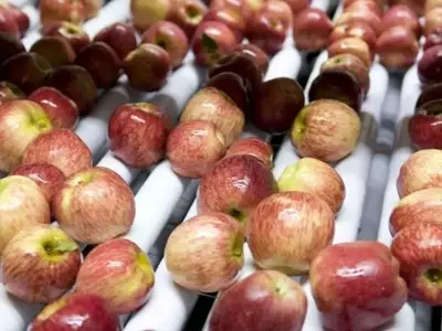 Argentina Transforma Residuos de Manzana en Alimentos Innovadores