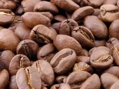 Descubren Curva Universal de Tostado en Café Arábica: Un Avance Científico