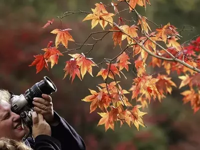 World Photography Day: Share Your Story Through Images