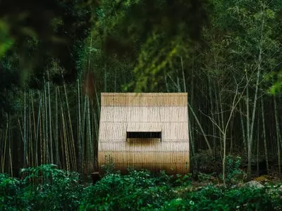 El Bambú: Símbolo de Innovación y Conciencia Ecológica en el Diseño Moderno