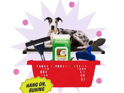 Maintain a Hair-Free Home with Pet-Friendly Products