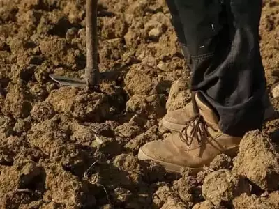 Mejora del Suelo Agrícola con Polvo de Roca: Beneficios y Consideraciones Clave
