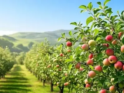Francia en Debate: La Reaparición del Acetamiprid Genera Ola de Protestas y Desafía Ley Agrícola