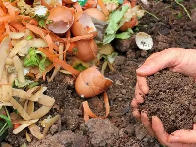 La Revolución Verde: Potenciando tu Huerto Familiar con Abonos Orgánicos