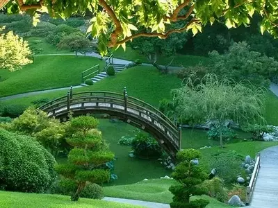 El Arte de Crear un Jardín Japonés: Armonía y Serenidad en tu Espacio