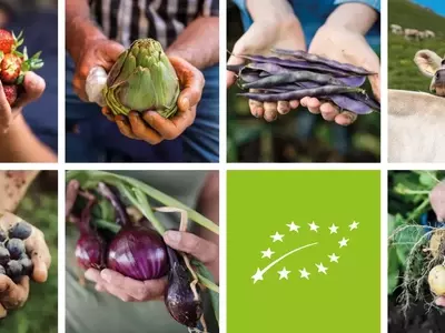 Agricultura Ecológica: Un Modelo Sostenible para el Futuro