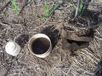 Comprendiendo la Esencia del Suelo para un Jardín Exuberante