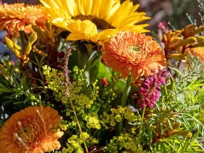 Florece el Jardín: Guía Completa de Flores para el Otoño