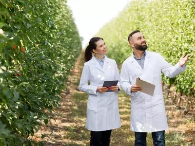 Guía Integral para la Nutrición Ecológica de tu Huerto