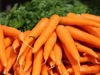 Los Sorprendentes Beneficios de la Zanahoria: Más Allá de su Vibrante Color