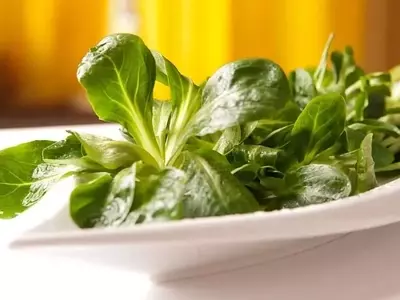 Descubriendo los Canónigos: Una Hierba Ancestral con Propiedades Nutricionales y Variedades Únicas